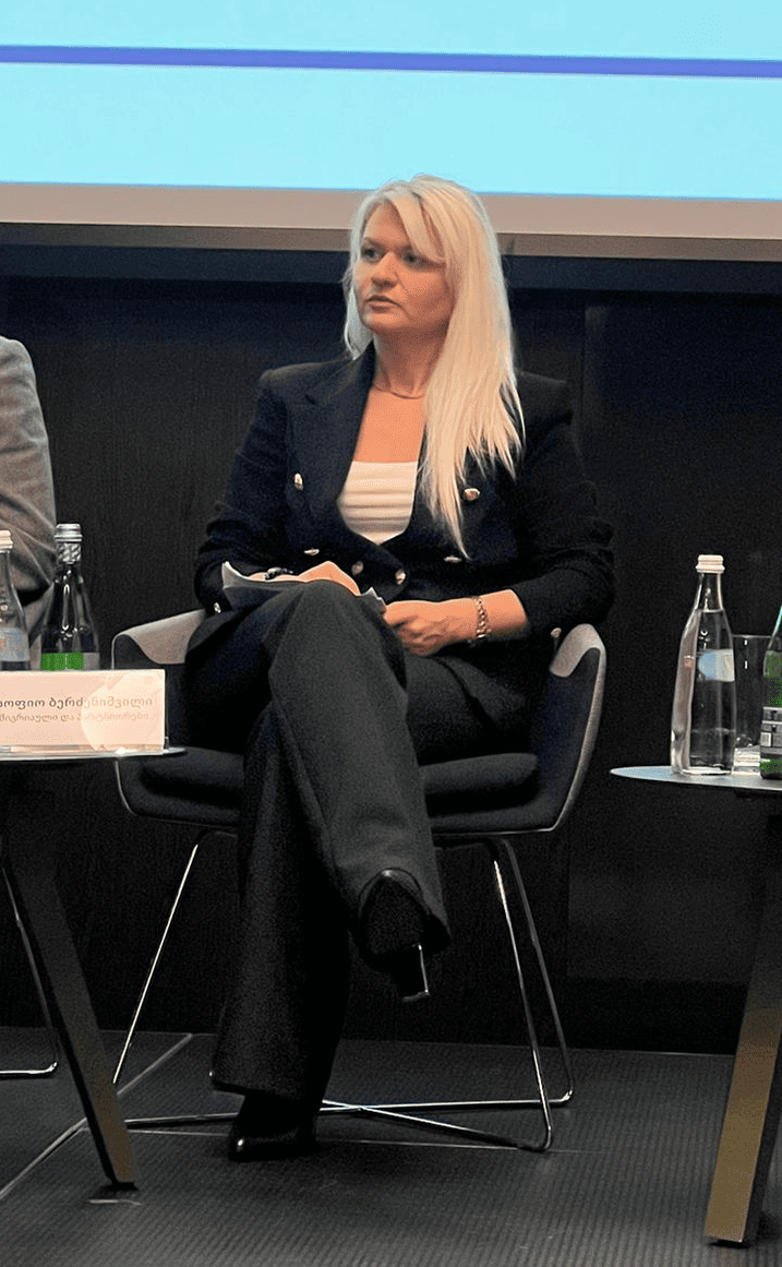 პროფესიონალი ადვოკატი - სოფიო ბერძენიშვილი და საადვოკატო ბიურო